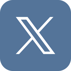 X Icon